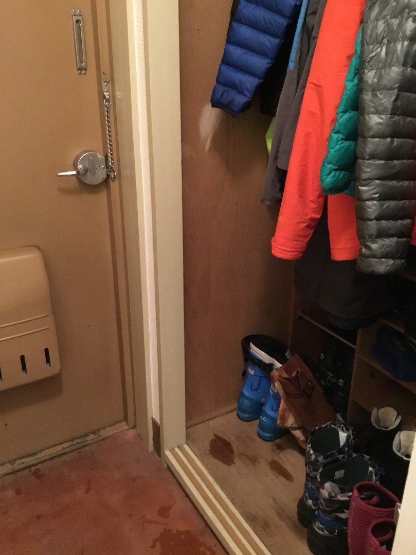 1295E196-C199-405D-959B-972D9B0D50B8