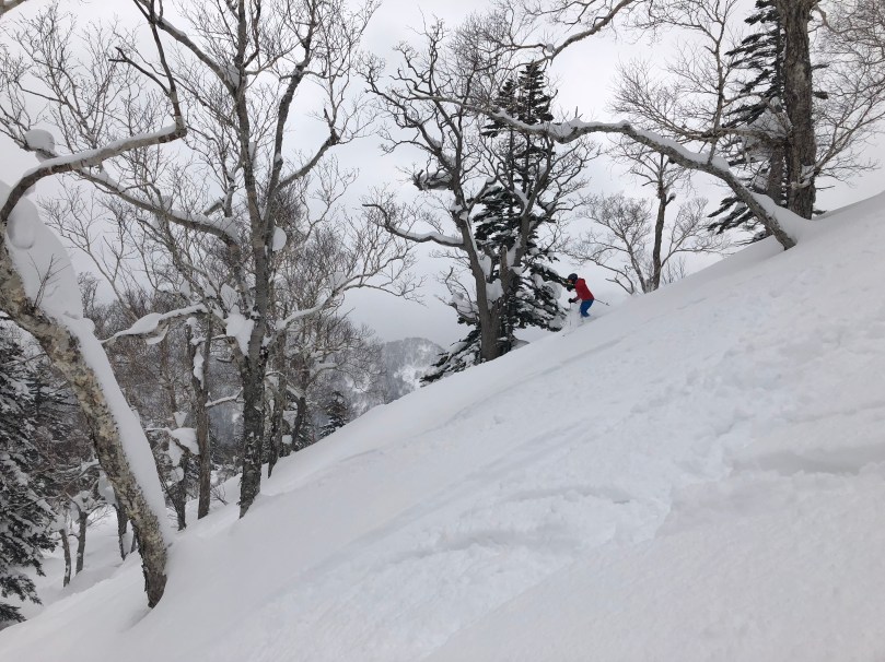 4E603A9F-8F06-4019-B4DB-969653655A0C