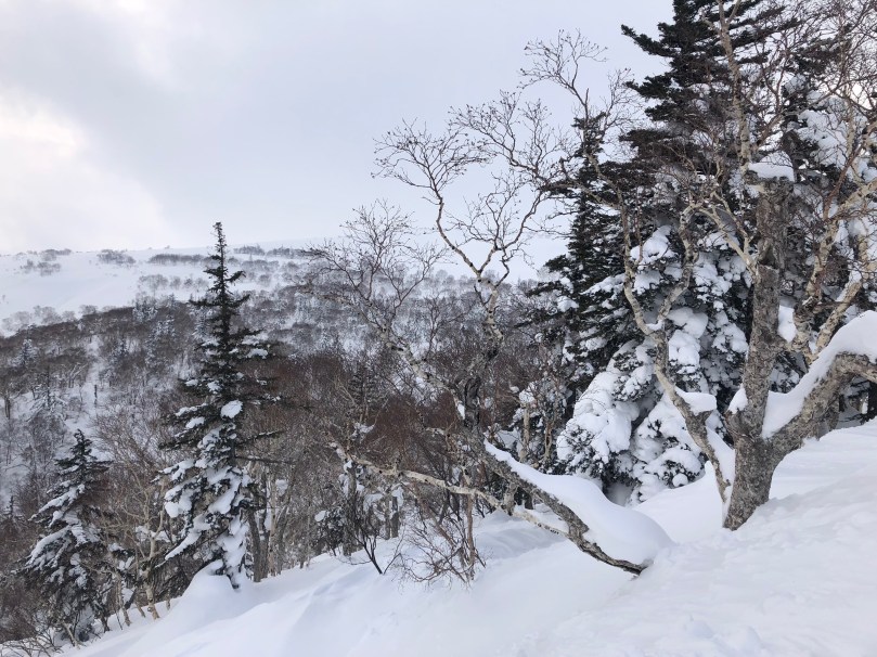 66475A15-EBF5-49A1-810B-AC0E62CDCEB6