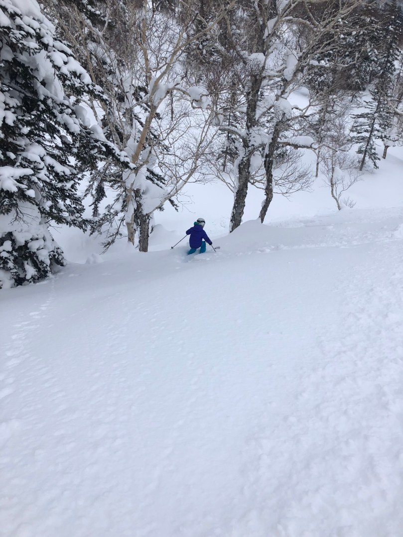 E273ED3C-D22B-417E-892B-33FF44284795