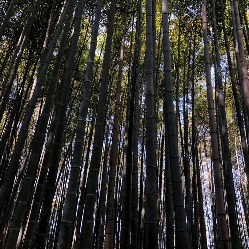 DB804D57-D6D9-4CB8-8306-EA6654ADA69B