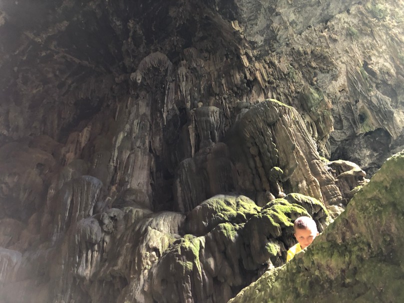 01C82DEC-15A5-468D-97CF-B35E97165C5C