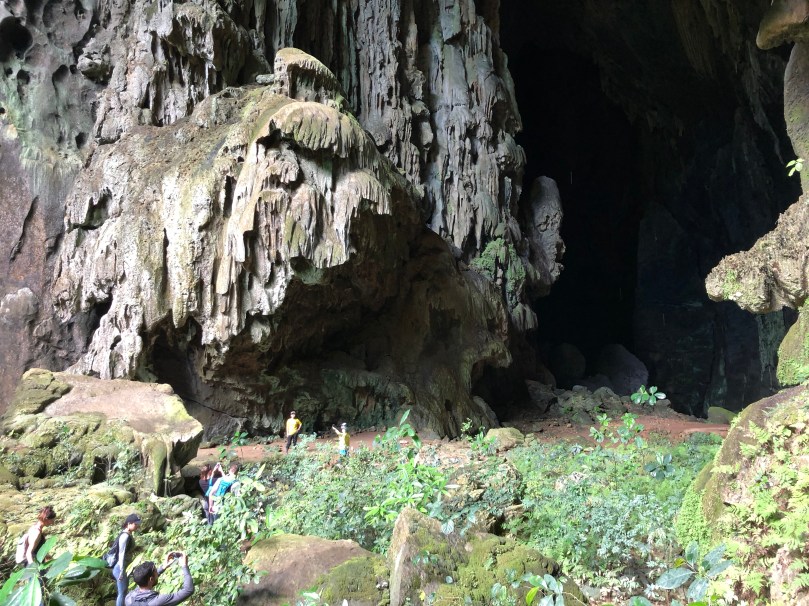 4EC77FB6-F990-4744-B743-689E97785F96