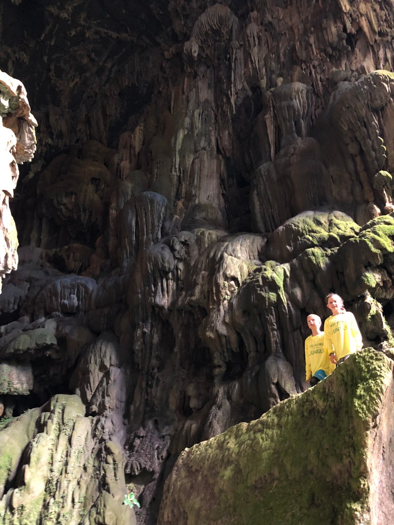 F95EAF0E-641C-45A5-A003-7B07F2B7635D