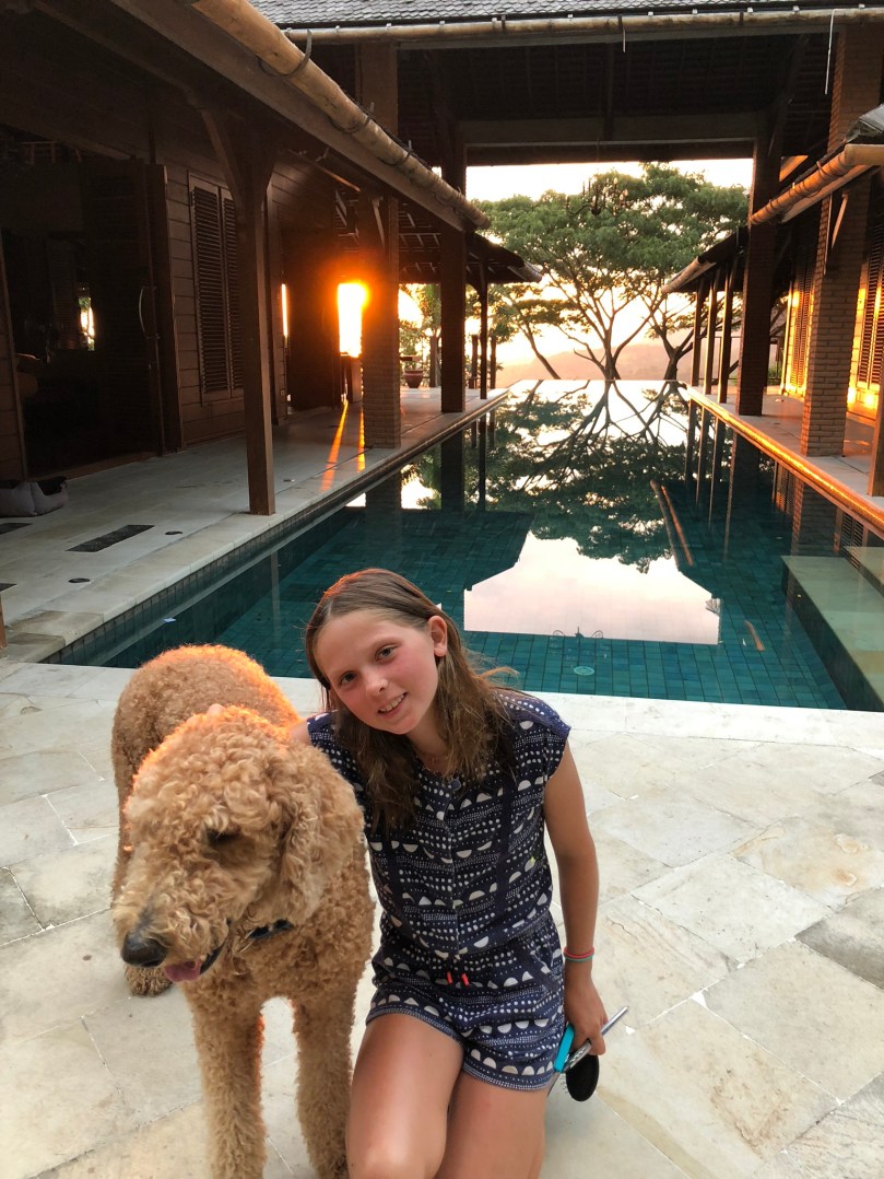 98E49F61-CF12-40F5-830D-82D63E5B9D19