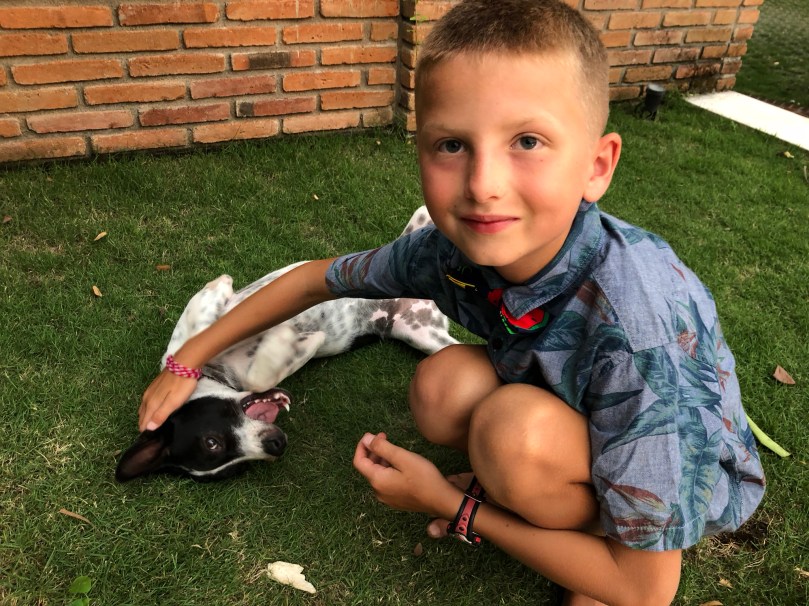 F1B735A2-657F-41F8-AD45-529231381A8D